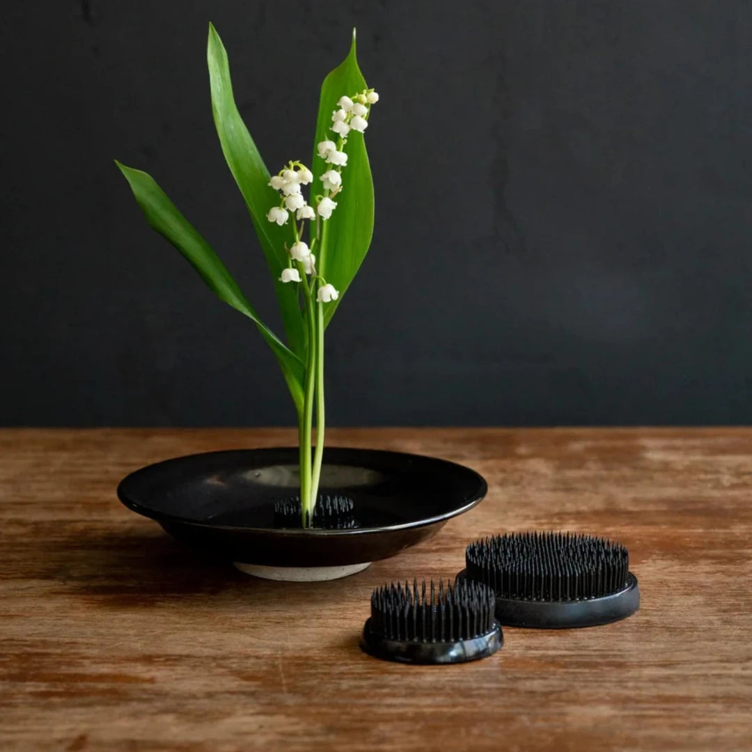 DECOR & GARDEN