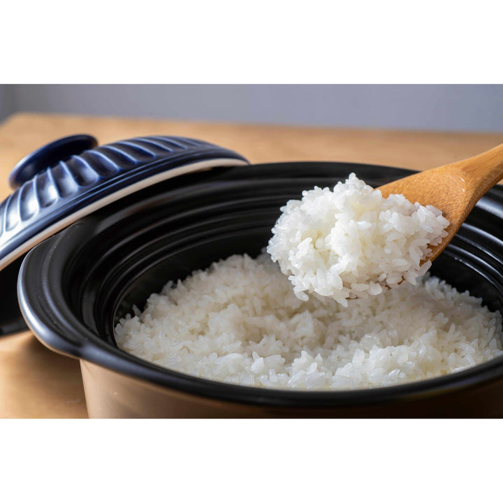 GINPO Kikka Rice Cooker (Blue) - 1 -2 Cups (1-2 people)