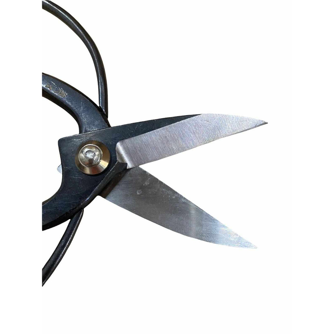 Hacho Okubo Garden Scissors 20cm