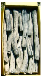 Japanese Binchotan - Kashi Komaru Branches (Large)