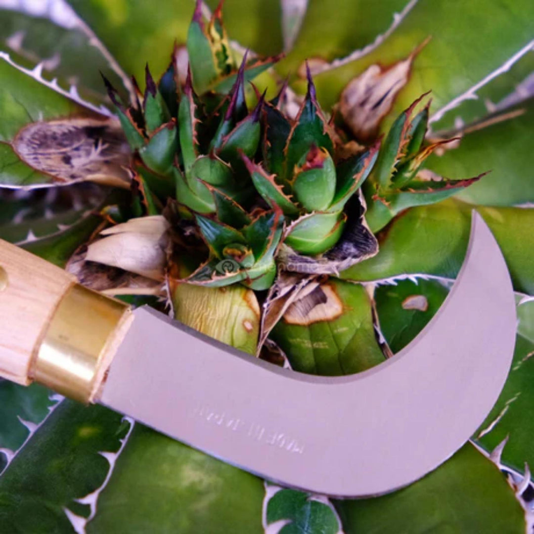 Takemoto Mushroom Sickle - 70mm