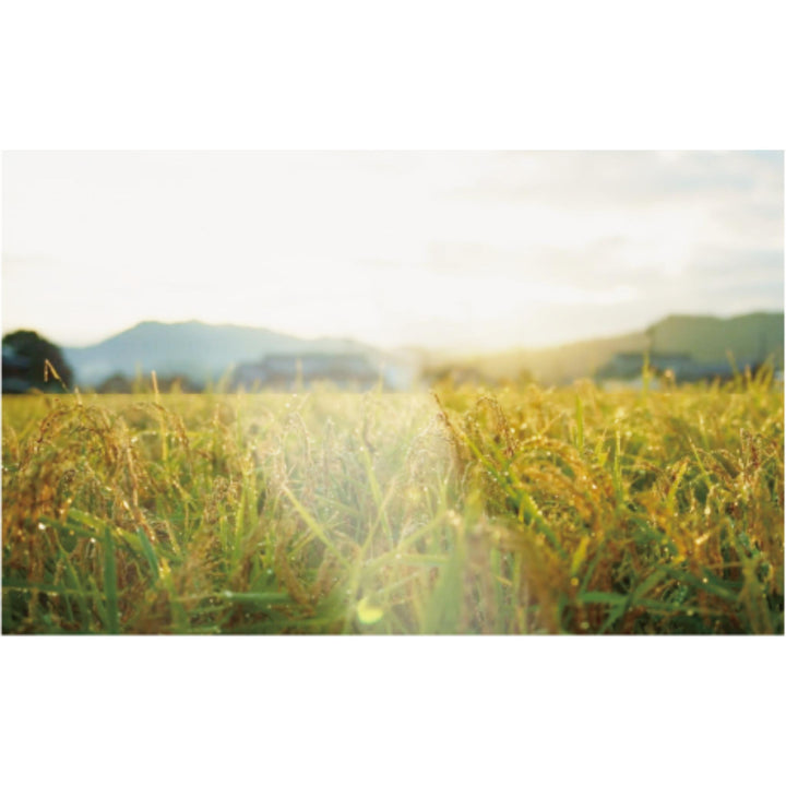 *PRE-ORDER* FRENAVA LPS Protect Balm - 25g