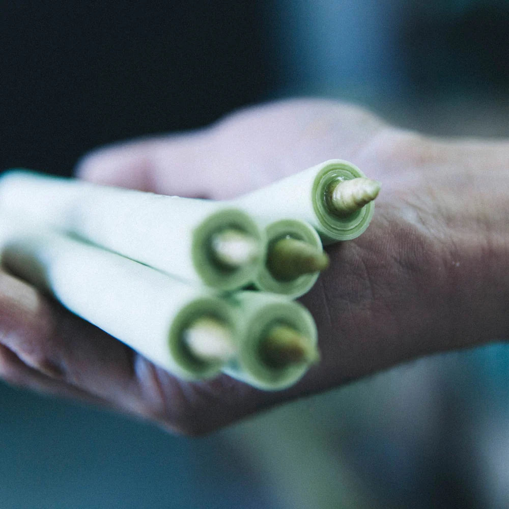 Daiyo Sumac Wax White Candles