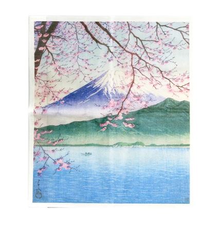 Maruyama Printed Dishcloth – Hasui Kisho Nishiizu