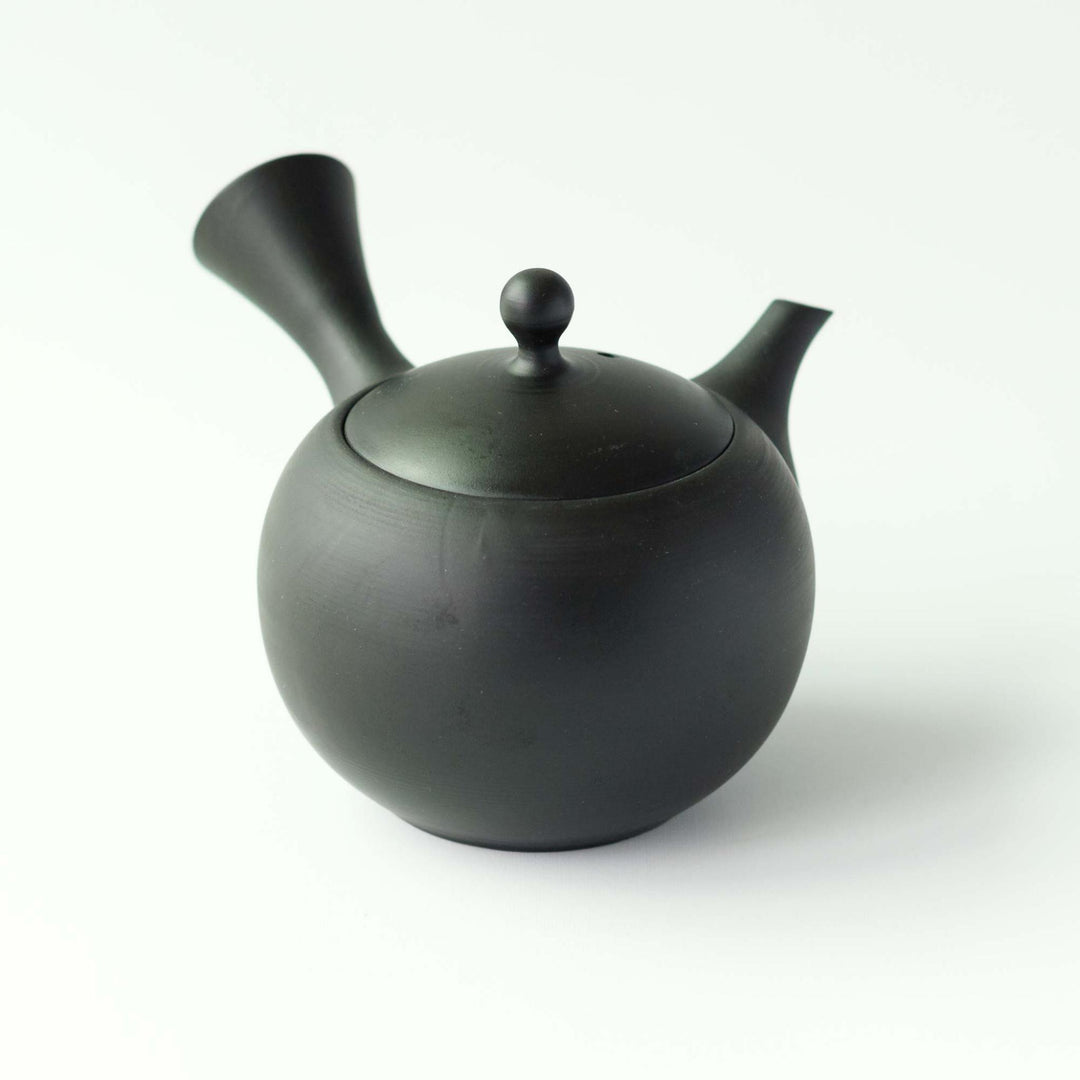 Jinsui Tokoname Kyusu Teapot & Tea Cup Set - Black