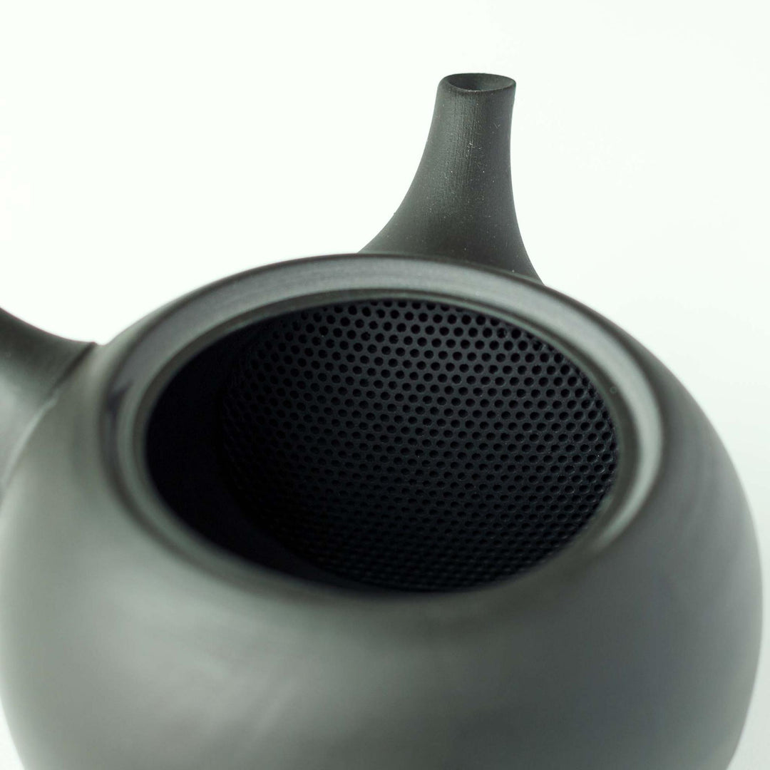 Jinsui Tokoname Kyusu Teapot & Tea Cup Set - Black