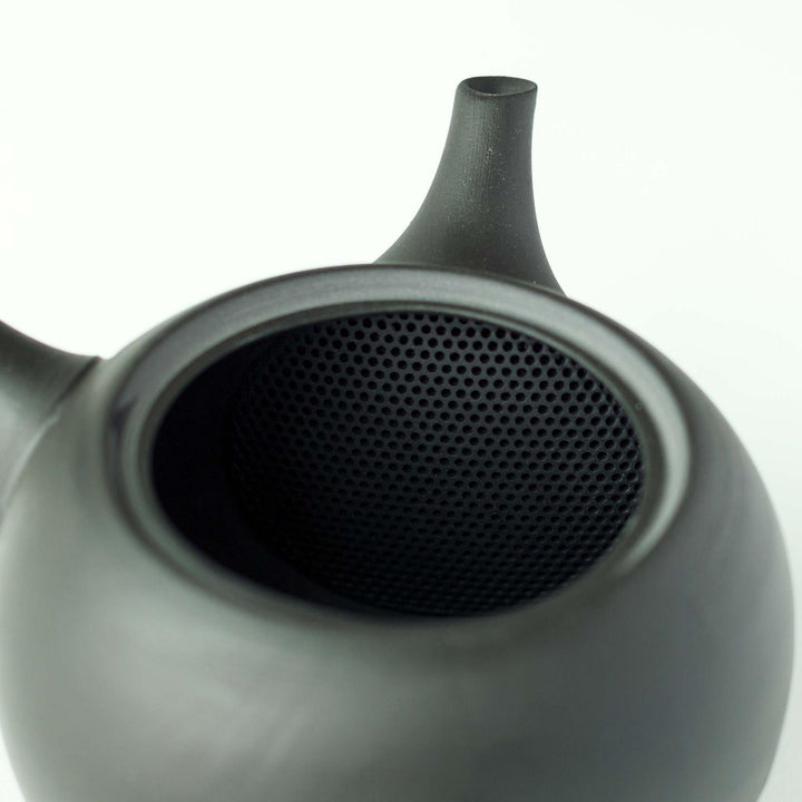 Jinsui Tokoname Kyusu Teapot & Tea Cup Set - Black