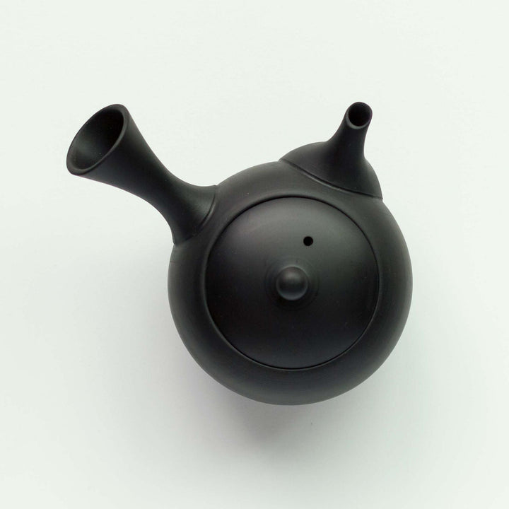 Jinsui Tokoname Kyusu Teapot & Tea Cup Set - Black