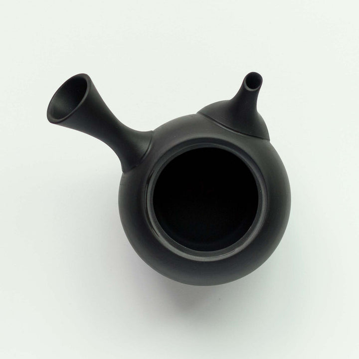 Jinsui Tokoname Kyusu Teapot & Tea Cup Set - Black