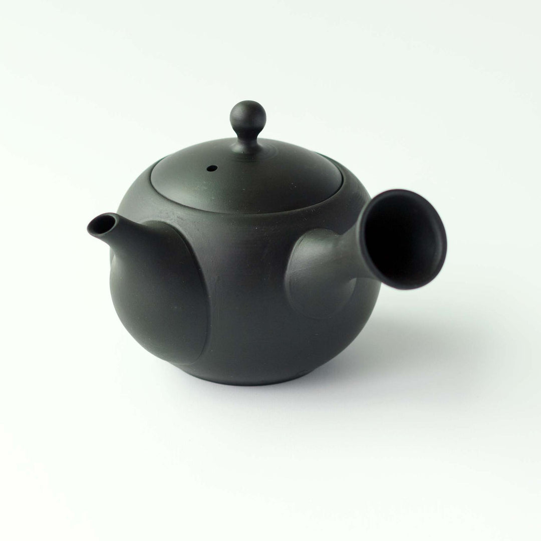 Jinsui Tokoname Kyusu Teapot & Tea Cup Set - Black