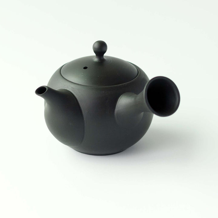 Jinsui Tokoname Kyusu Teapot & Tea Cup Set - Black