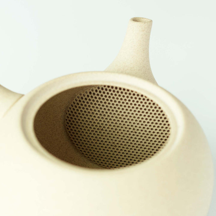 Jinsui Tokoname Kyusu Teapot & Tea Cup Set - Ivory