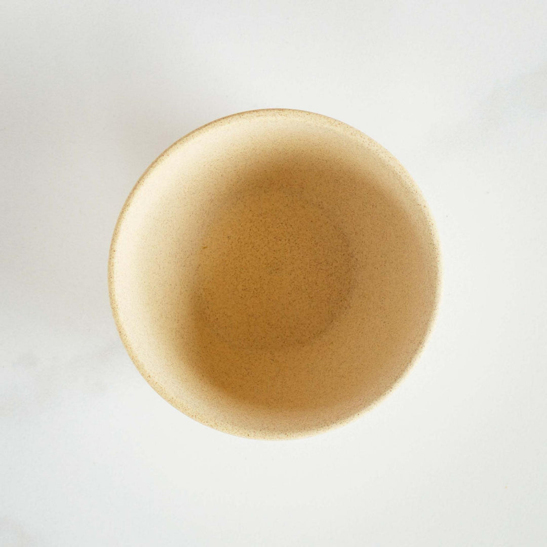 Jinsui Tokoname Kyusu Tea Cup Set (2) - Ivory