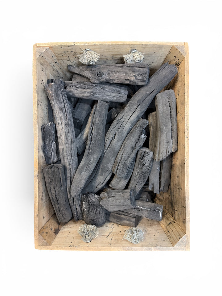 Japanese Binchotan - Kashi Komaru Branches (Large)