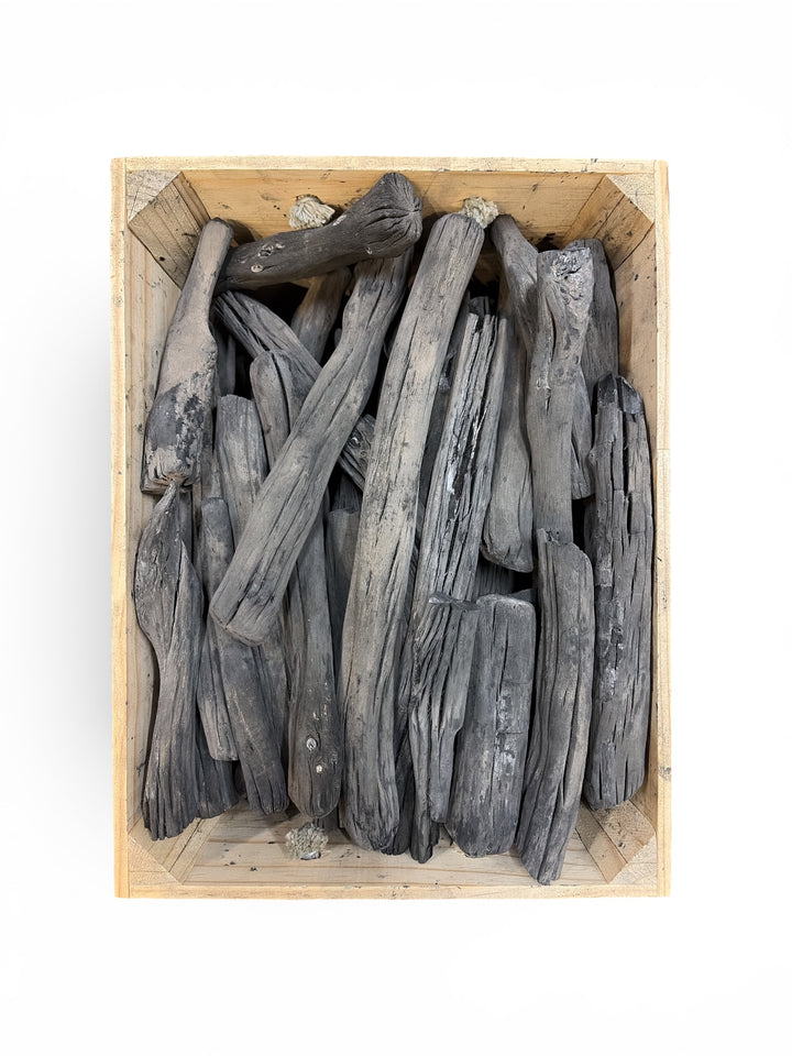 Japanese Binchotan - Kashi Komaru Branches (Small)