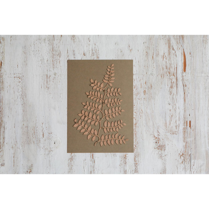 Ku Washi Incense Tree - Japanese Cypress