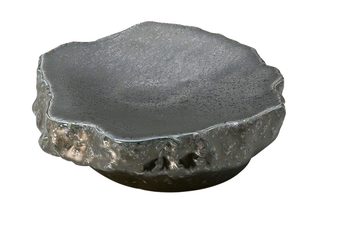 Kuroiwa Plate