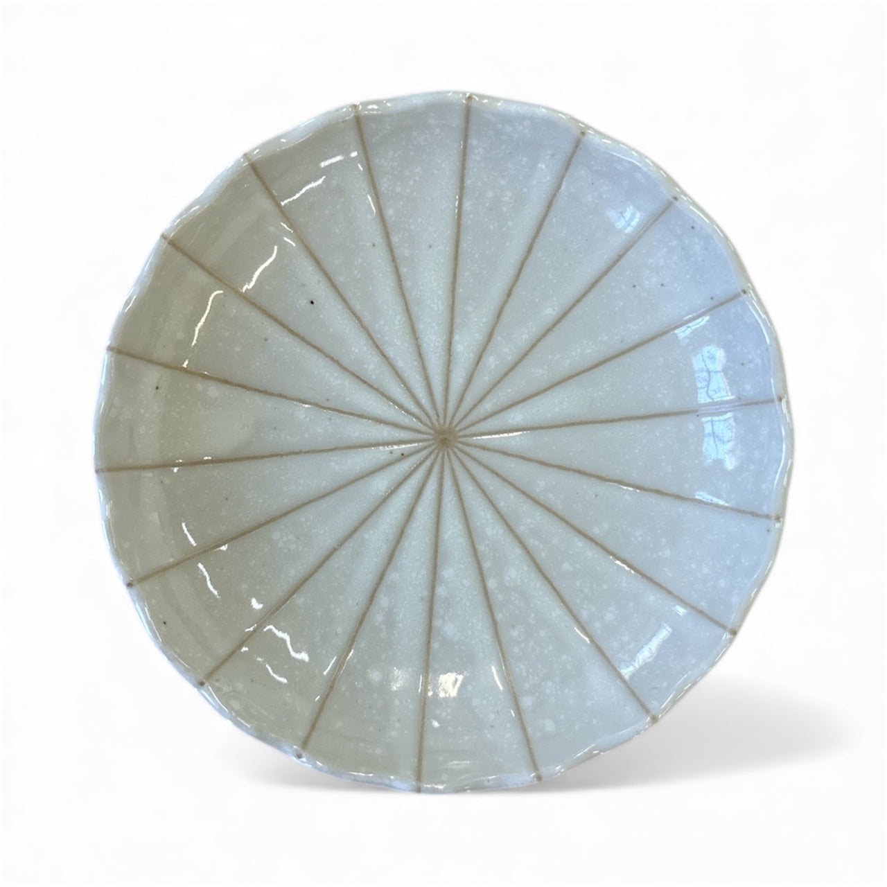 mocoページ 種類ちがいのバラプレート Tableware - Plates – Setamono Japanese Homeware
