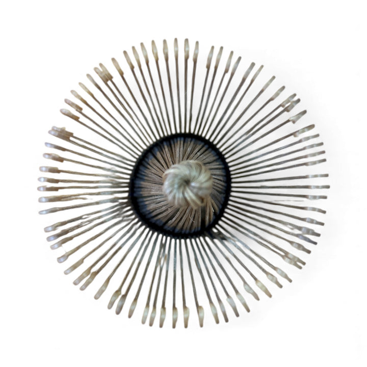 Bamboo Matcha Tea Whisk/Chasen - Stained