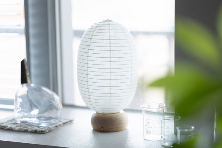 Shiraki Kougei Mini Cochin Lantern - Muji Dinosaur