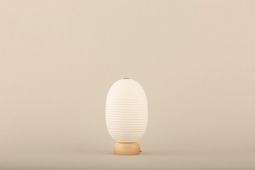 Shiraki Kougei Mini Cochin Lantern - Muji Dinosaur