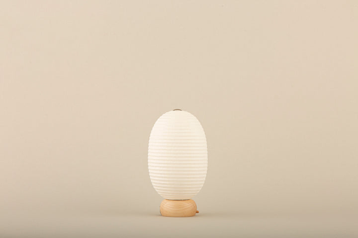 Shiraki Kougei Mini Cochin Lantern - Muji Dinosaur