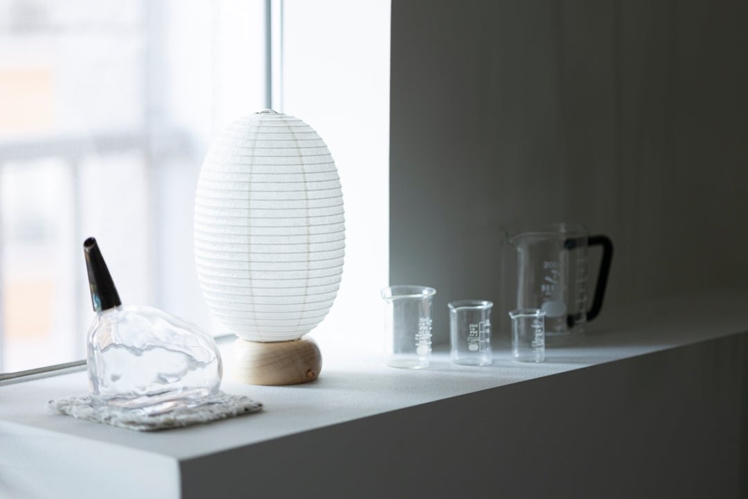 Shiraki Kougei Mini Cochin Lantern - Muji Dinosaur