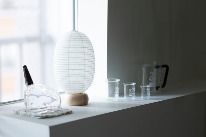 Shiraki Kougei Mini Cochin Lantern - Muji Dinosaur