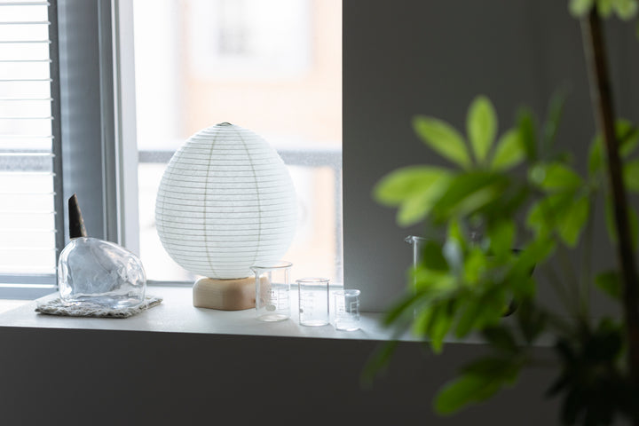 Shiraki Kougei Mini Cochin Lantern - Muji Ostrich