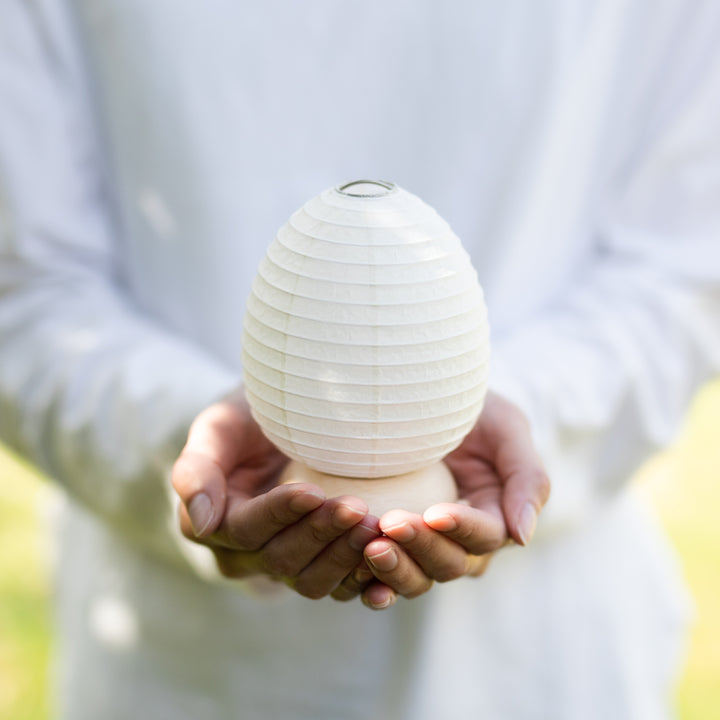 Shiraki Kougei Cochin Lantern - Mame Tamago (Egg)