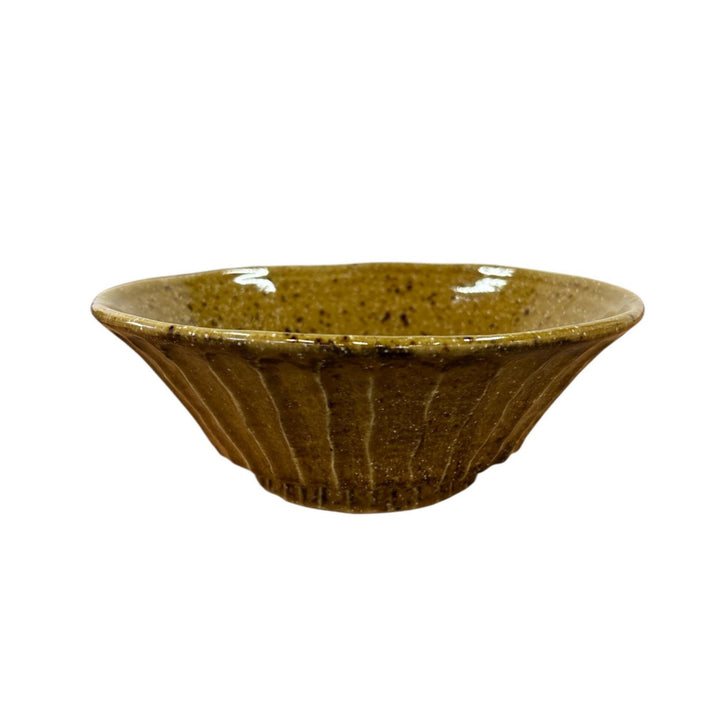 Gyo Ramen Bowl - Brown
