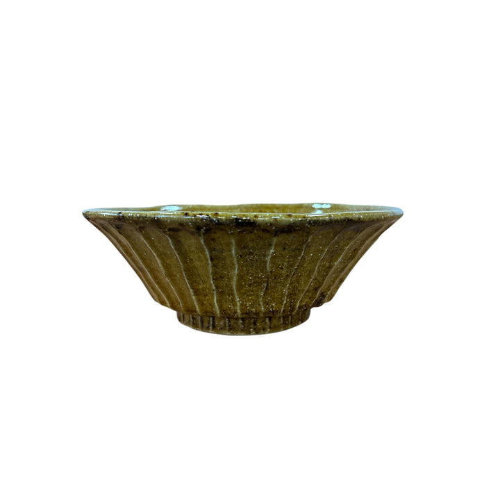 Gyo Ramen Bowl - Brown