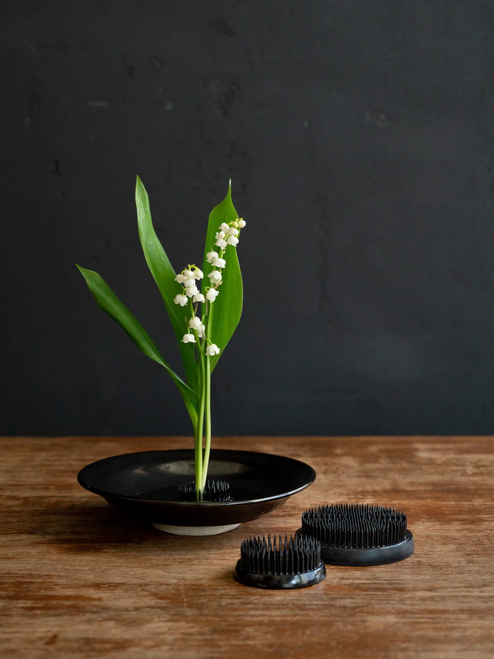 Black Kenzan Round (Spiky Frog) - Medium